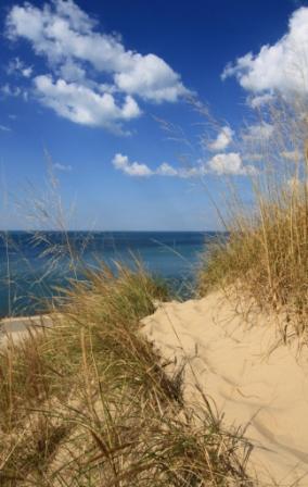 Indiana Dunes Gallery-Trail Vista